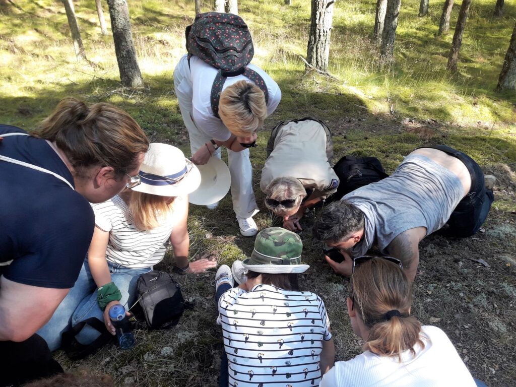 training in Lithuania – last completed! – Nature Guide Network